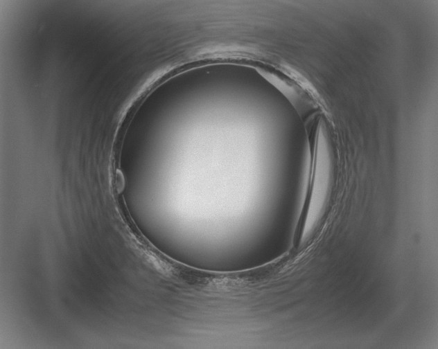 X0000083001277200702160040