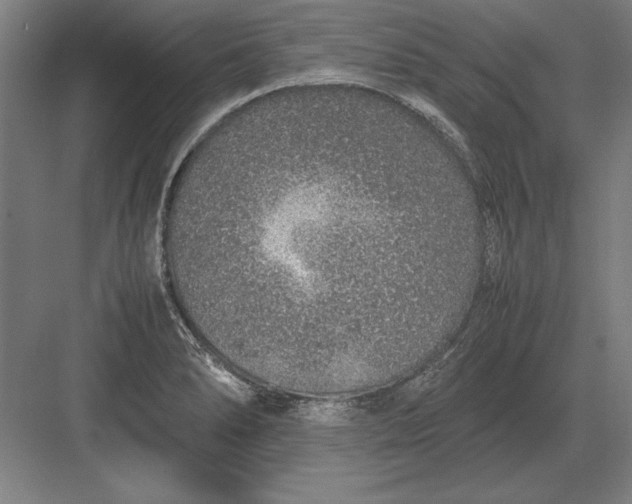 X0000083001278200702160040