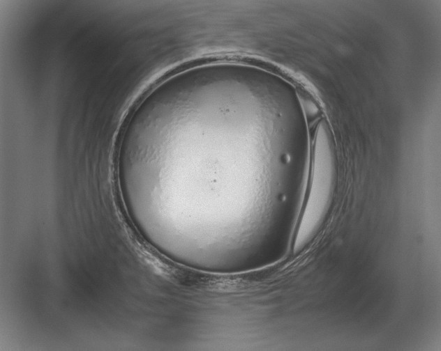 X0000083001279200702160040