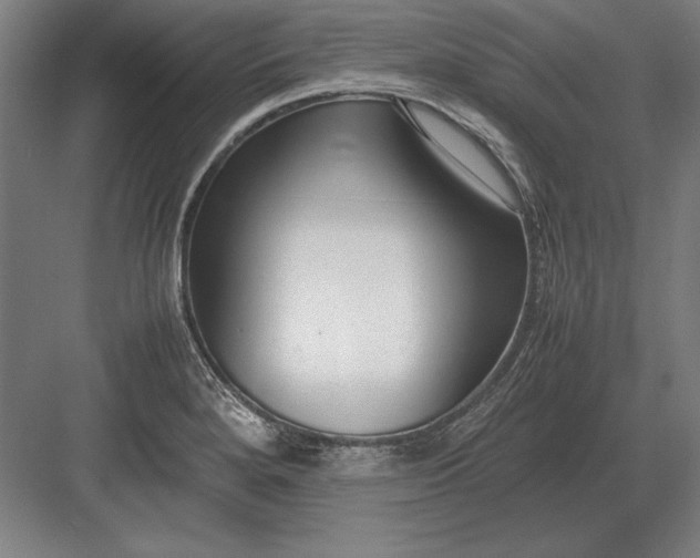 X0000083001280200702160040