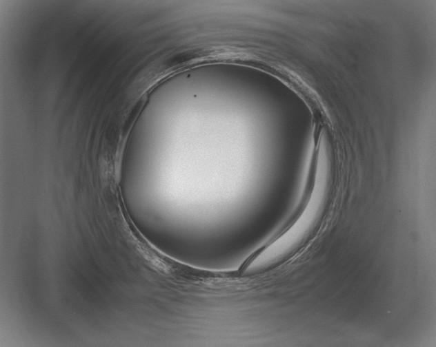 X0000083001281200702160040