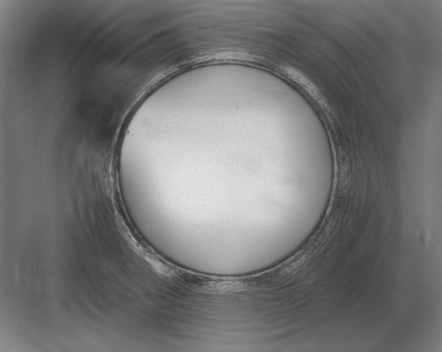 X0000083001282200702160040