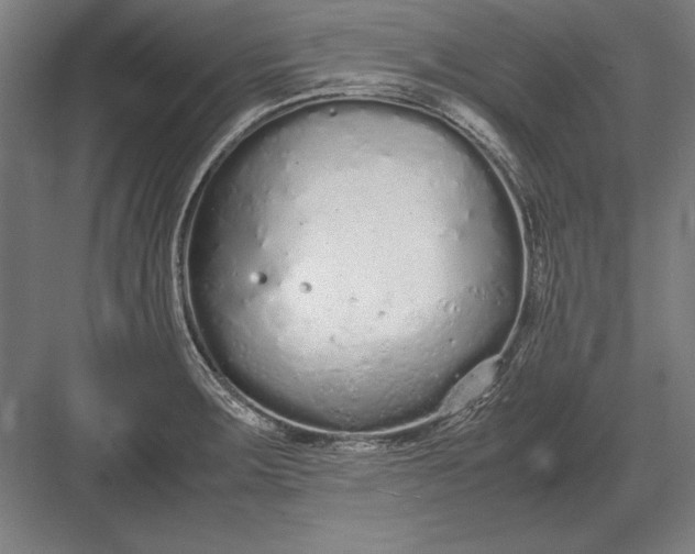 X0000083001283200702160040