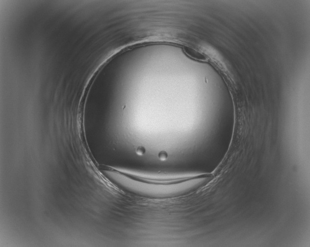 X0000083001284200702160040