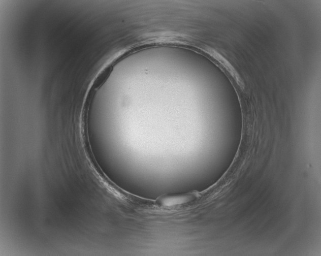 X0000083001285200702160040