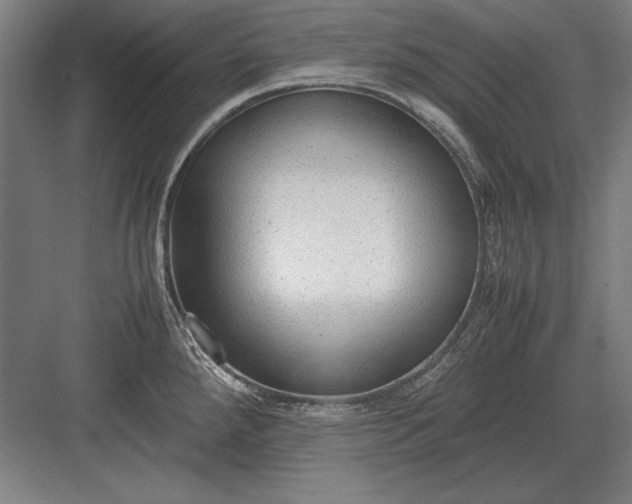 X0000083001288200702160040