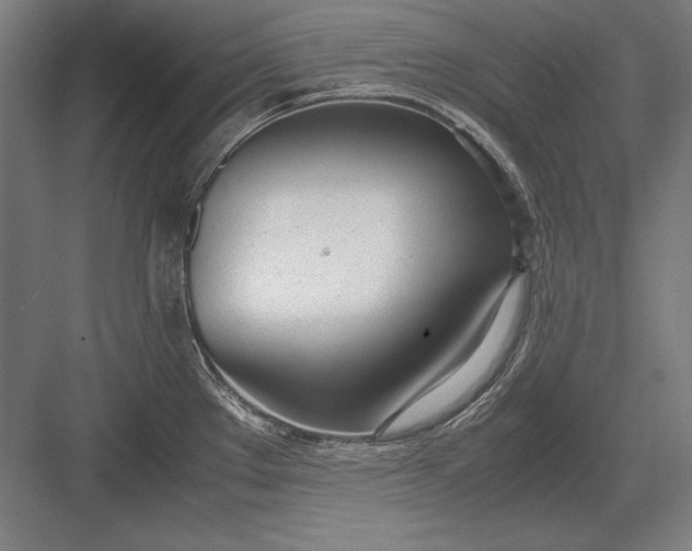 X0000083001289200702160040