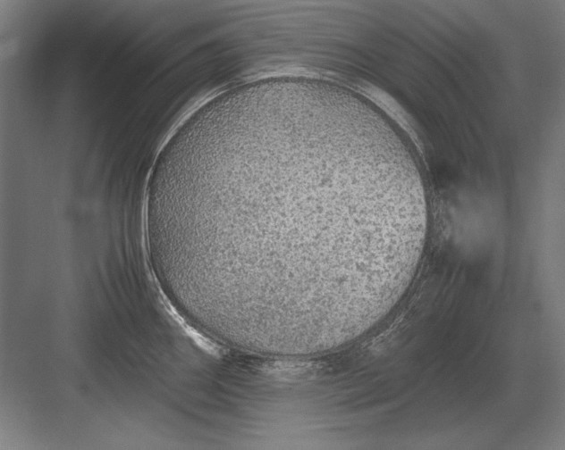 X0000083001290200702160040