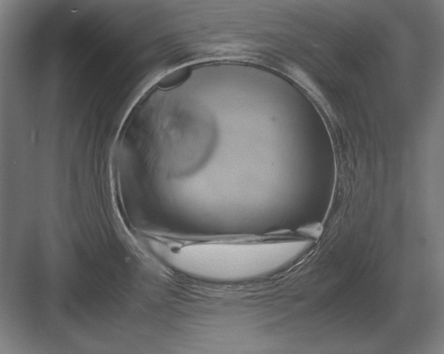 X0000083001291200702160040