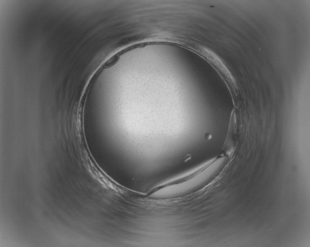 X0000083001292200702160040