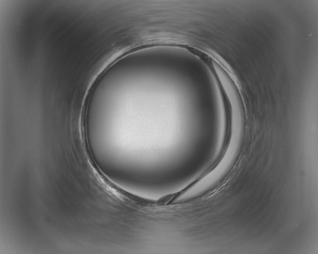 X0000083001293200702160040