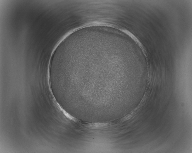 X0000083001294200702160040