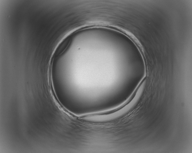 X0000083001295200702160040