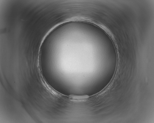 X0000083001296200702160040