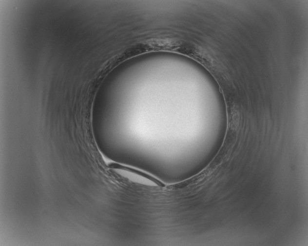 X0000083001297200702160039