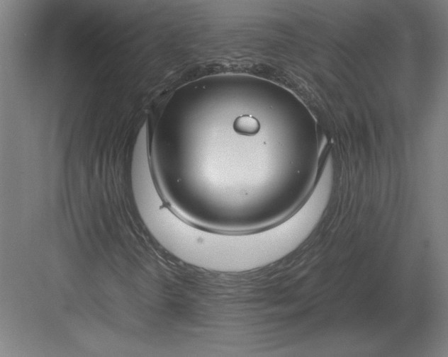 X0000083001298200702160039