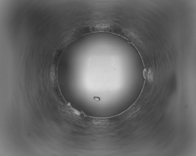 X0000083001299200702160039