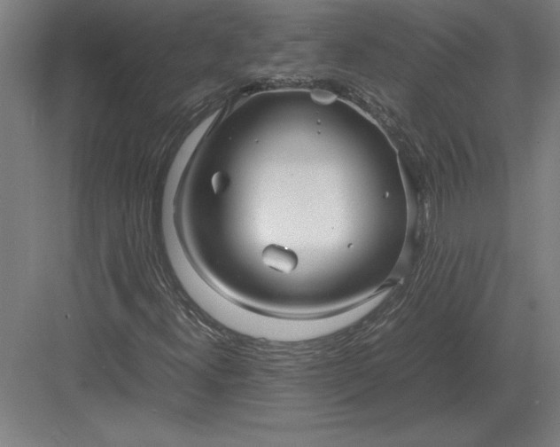 X0000083001300200702160039