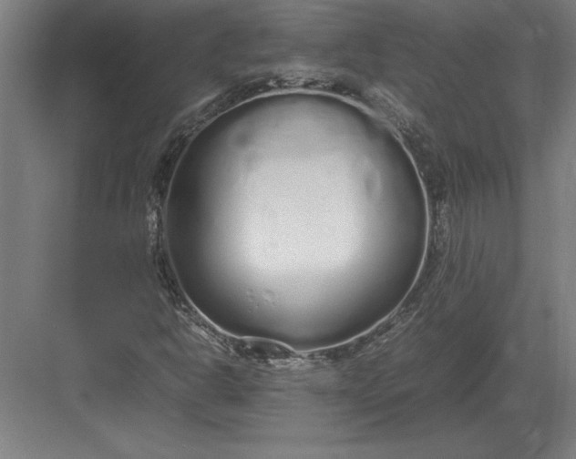 X0000083001302200702160039