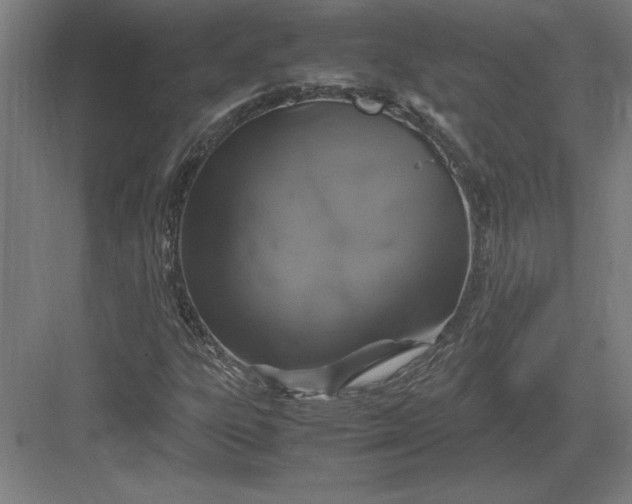 X0000083001303200702160039