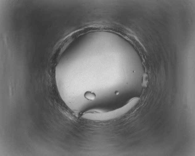 X0000083001304200702160039