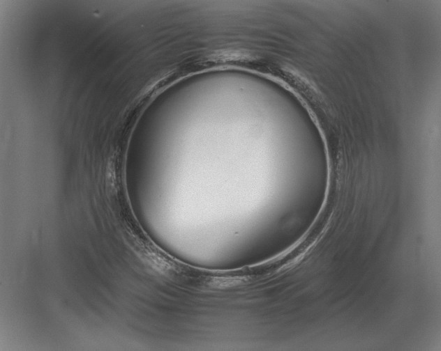 X0000083001305200702160039