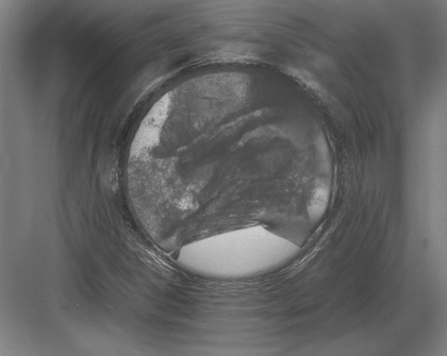 X0000083001306200702160039