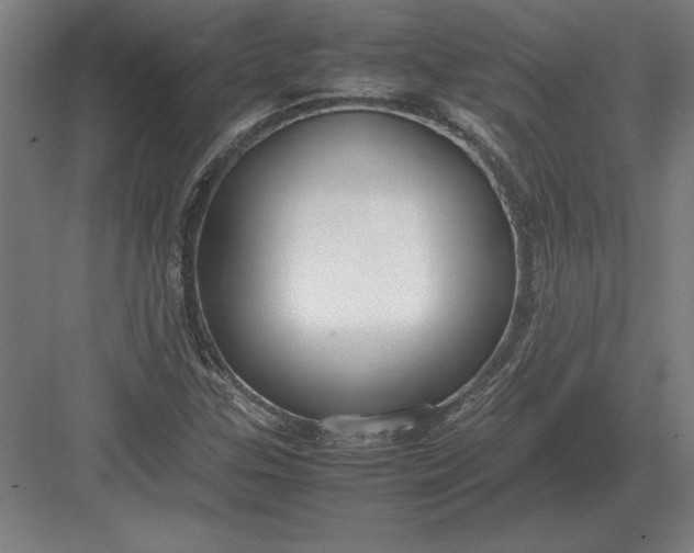 X0000083001307200702160039