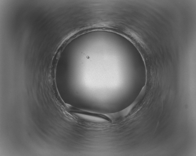 X0000083001308200702160039