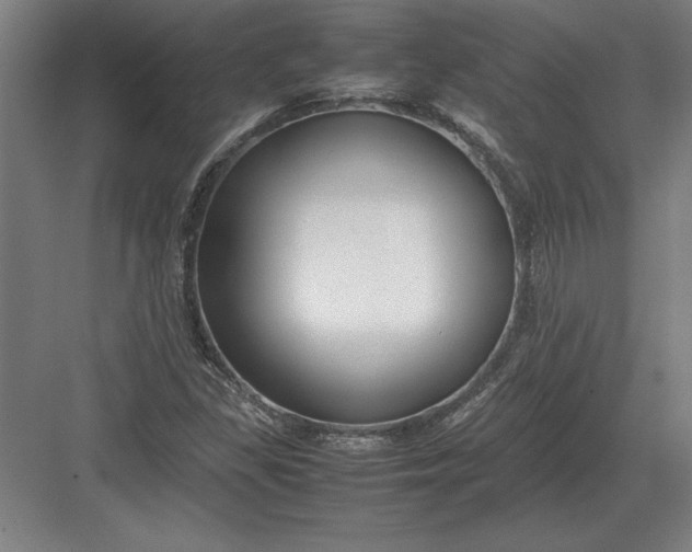 X0000083001309200702160039