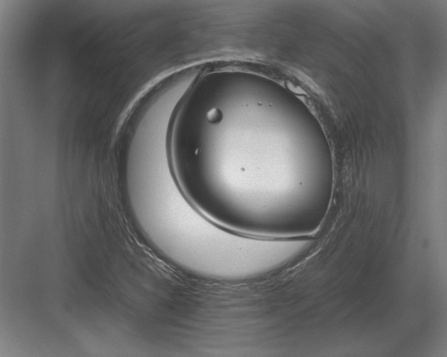 X0000083001310200702160039