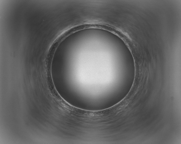 X0000083001311200702160039