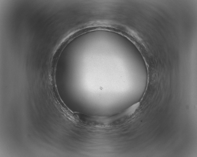 X0000083001312200702160039