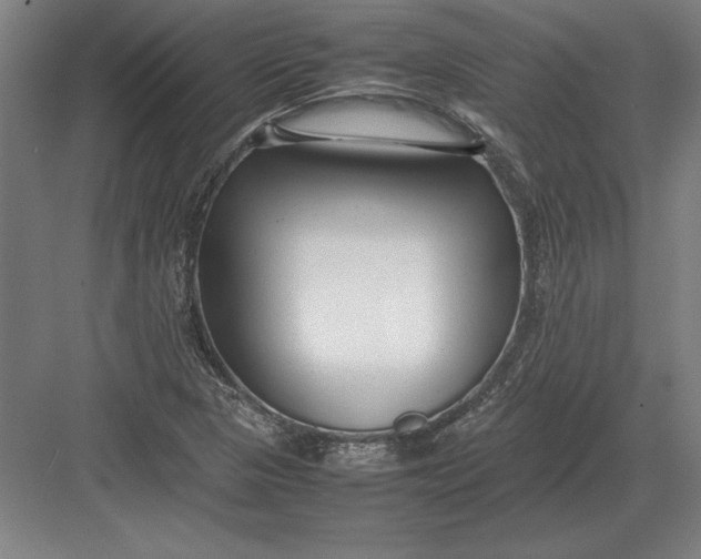 X0000083001313200702160039