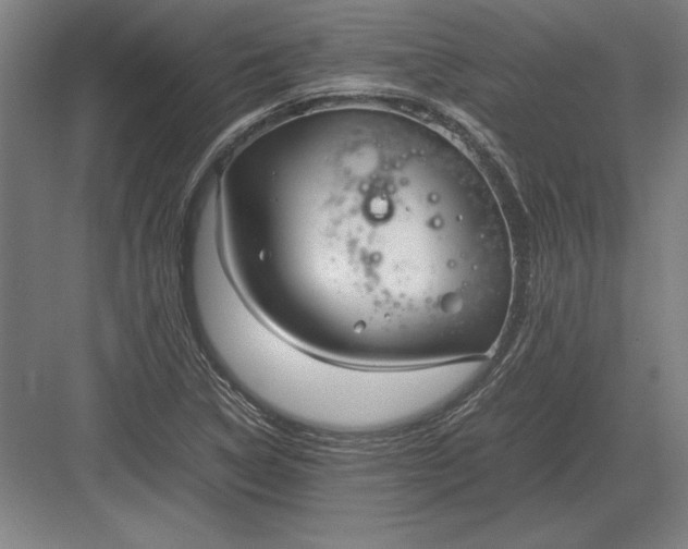 X0000083001314200702160039