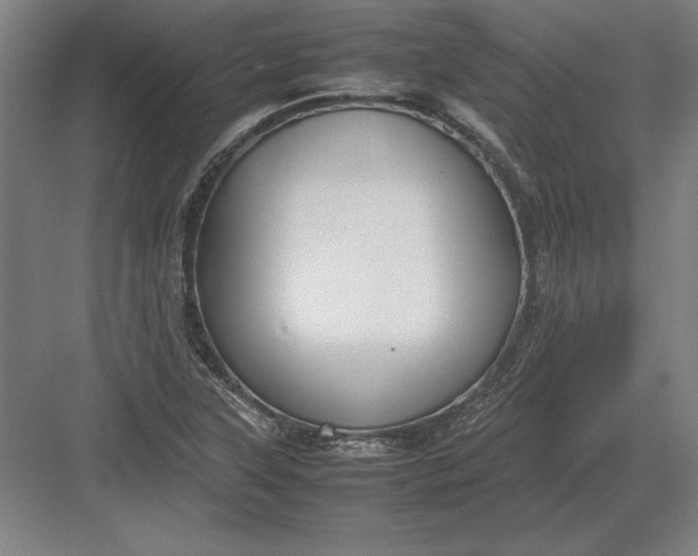 X0000083001315200702160039