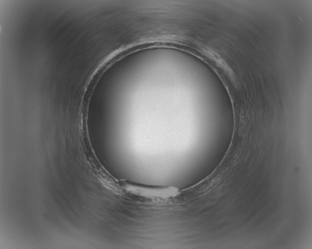 X0000083001316200702160039