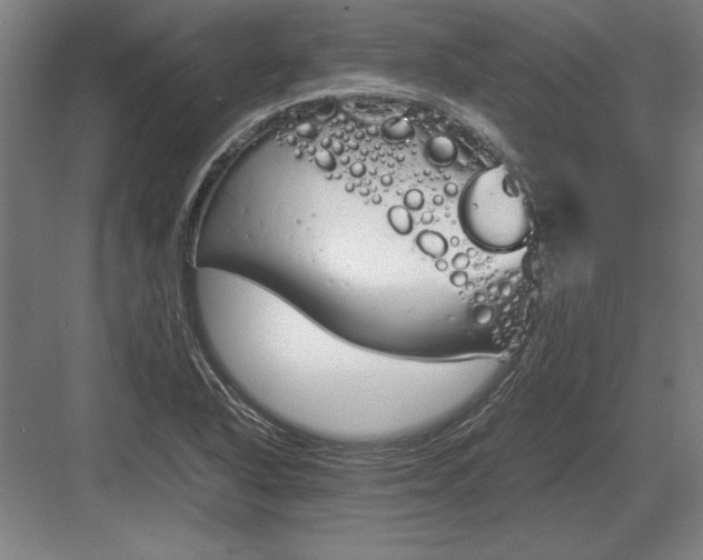 X0000083001318200702160039