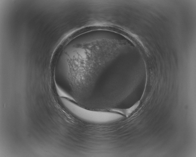 X0000083001319200702160039