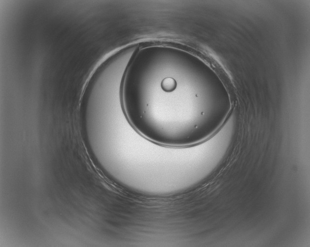 X0000083001320200702160039