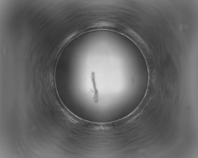 X0000083001321200702160039