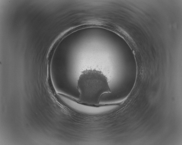 X0000083001323200702160039