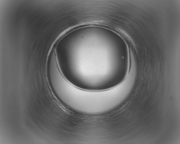 X0000083001324200702160039