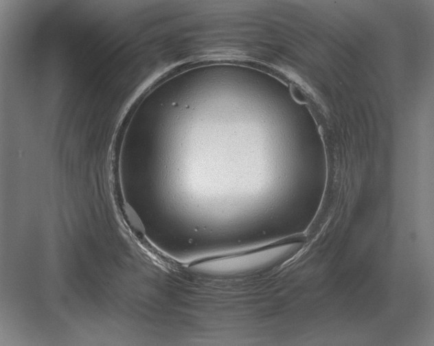 X0000083001325200702160039