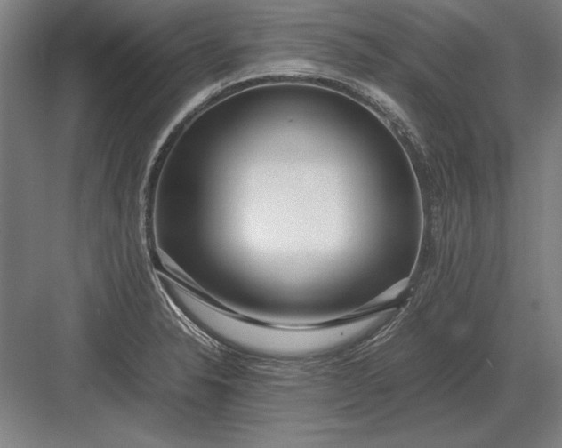 X0000083001326200702160039