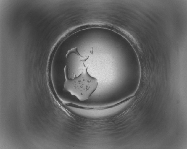 X0000083001327200702160039