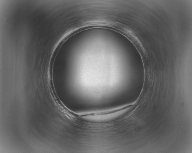 X0000083001328200702160039