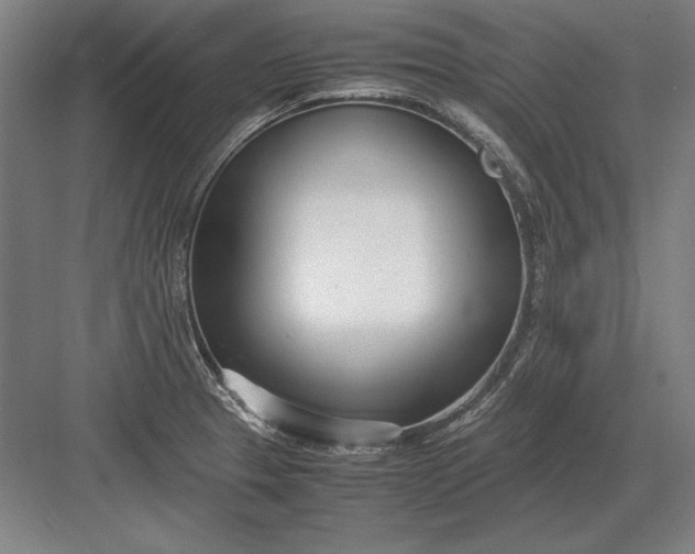 X0000083001329200702160039