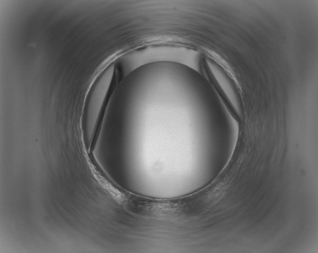 X0000083001330200702160039