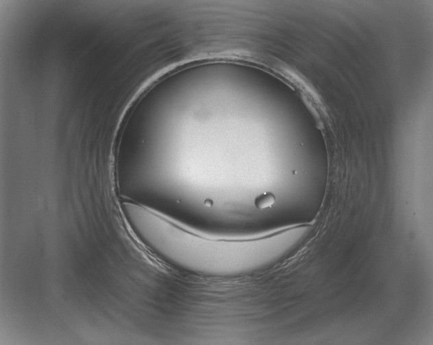 X0000083001332200702160039